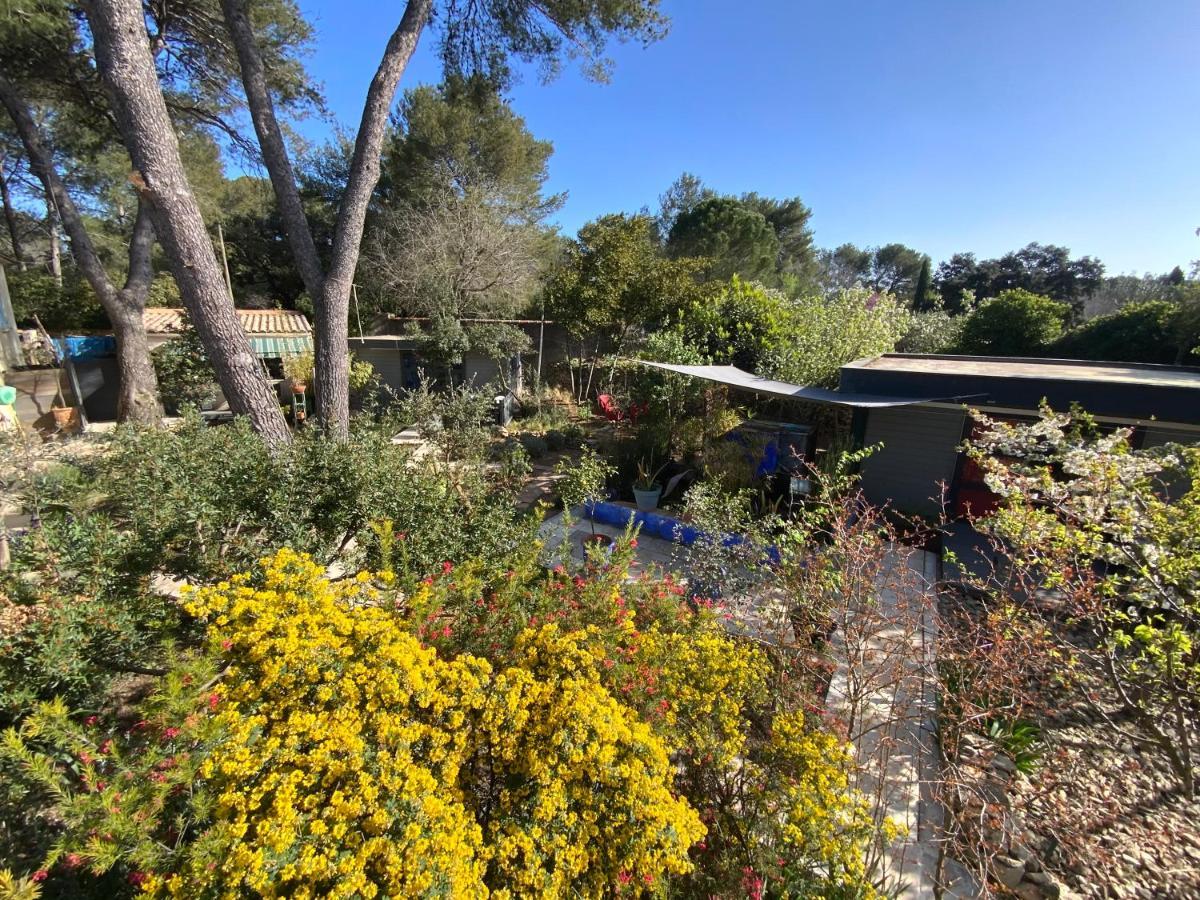 Inn 4 Bears Nimes Bagian luar foto