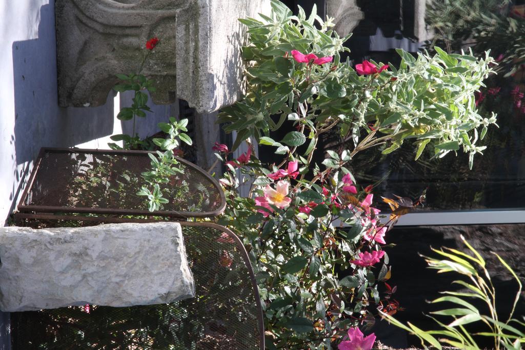 Inn 4 Bears Nimes Bagian luar foto
